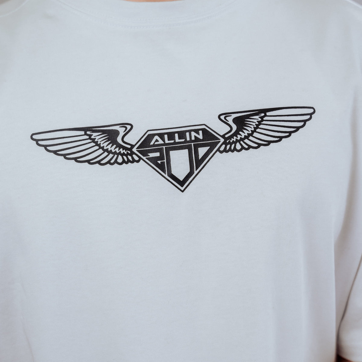 Wings Oversize T-Shirt White