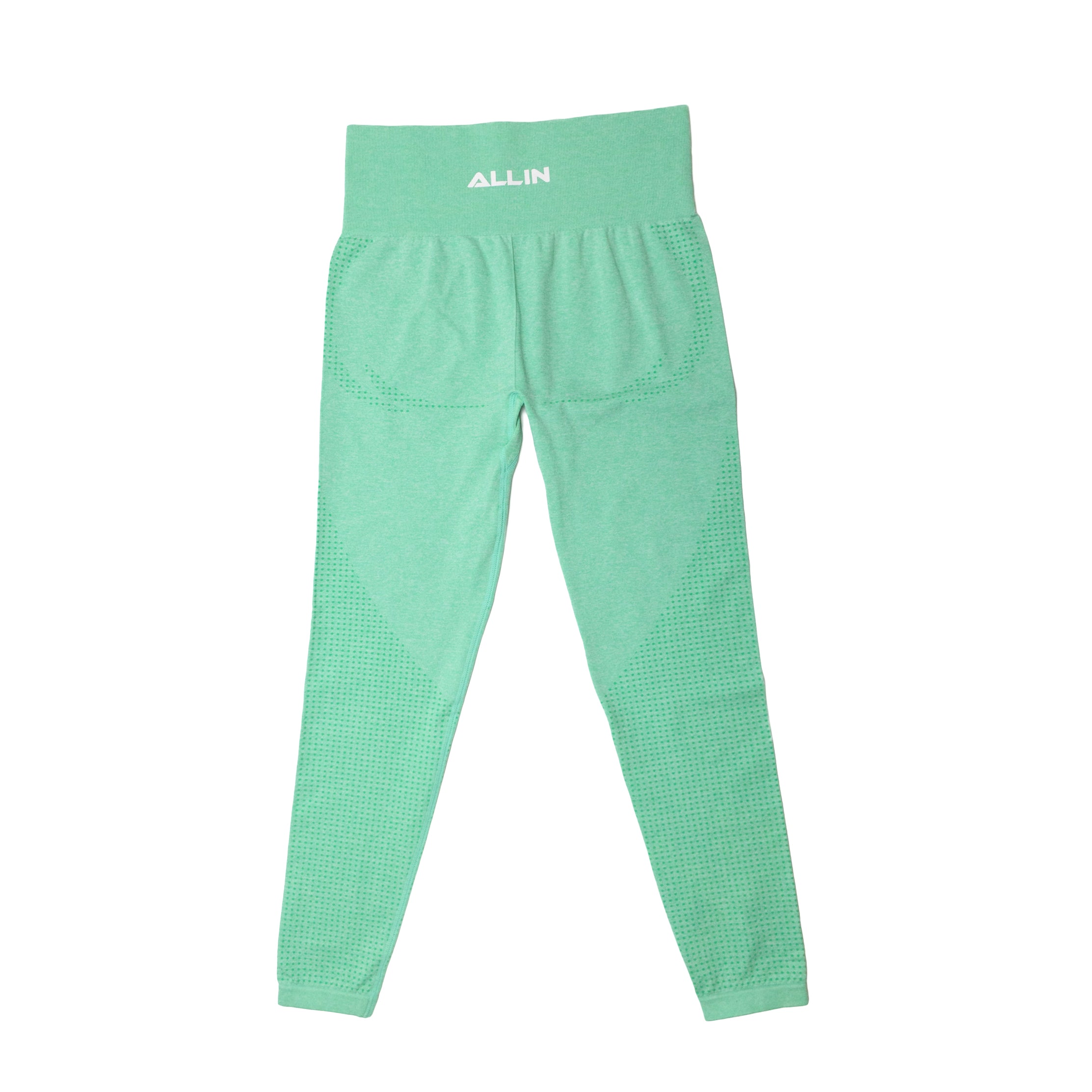 Stash Me In Back Zipper leggings for Women – Mint Green – MICHELLE SALINS